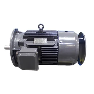Sūkņa motors